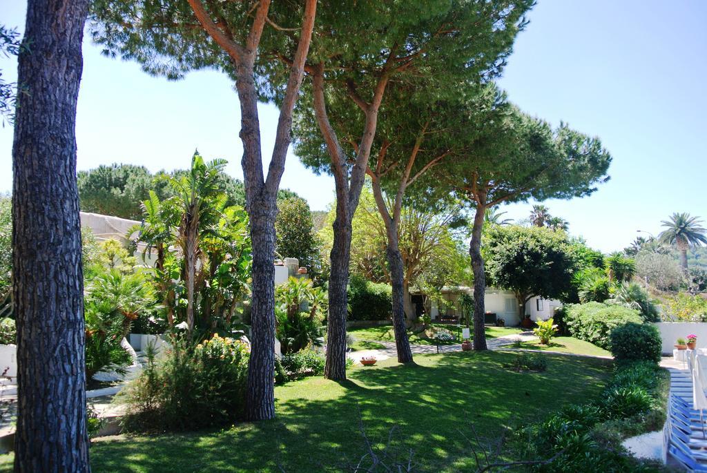 Paradiso Terme Resort & Spa Con 5 Piscine Termali Forio  Exterior photo